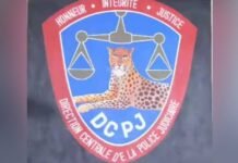 Cri d’alarme concernant un rapport falsifié de la DCPJ contre la CONALD