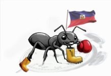 REPONS AYITI défie Henry T. Wooster et le Core Group : « Non à l’ingérence étrangère, oui à la souveraineté haïtienne »